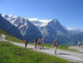 Walliser Wein - Schlemmerwanderung - Conthey