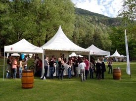 Vino del Vallese - Jardin des vins - Sion