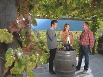 Vins du Valais - Chemin du vignoble - Martigny Loèche
