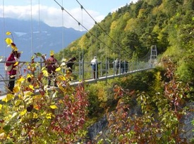 The vineyard of Farinet & the Passerelle - Saillon