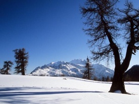 L'hiver à 'Moosalp', région d'Augstbord
