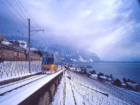 BLS - GoldenPass BLS - GoldenPass