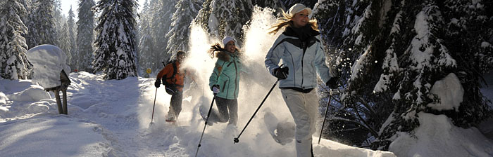 A tu per tu con la natura - Nendaz A tu per tu con la natura - Nendaz