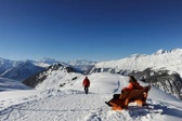 Crest Trail : Riederalp - Bettmeralp - Fiescheralp