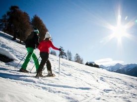 Snowshoe hiker, Veysonnaz