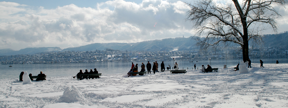 Magie invernali a Zurigo