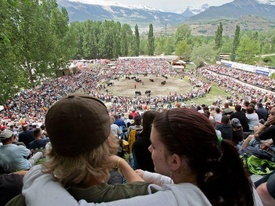 Ringkuhkämpfe - Wallis Ringkuhkämpfe - Wallis
