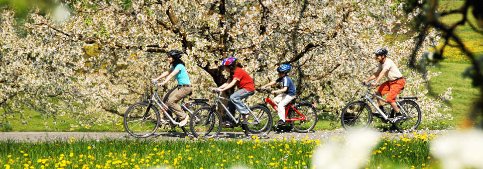 Radwege Bodensee