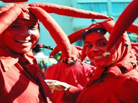 Carnaval valaisan 