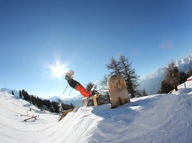 Wood Park - Nendaz