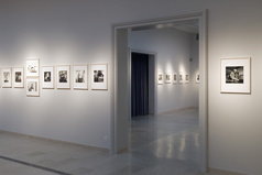 Galerien (Galerie Fischer)