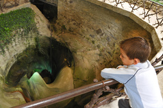 Glacier Garden Lucerne