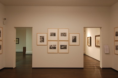 Museum Sammlung Rosengart, Luzern