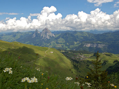 Aussicht vom Fronalpstock