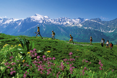 Titlis