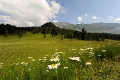 Biosphäre, Entlebuch