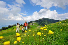 Wandern auf der Rigi
