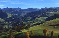 Region Willisau