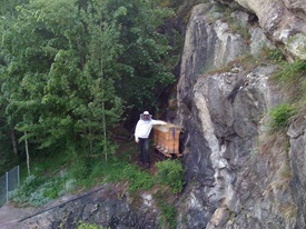 Imkerei Furrer Festung Naters