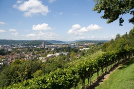 Aussicht Bäumli