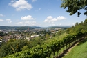 Aussicht Bäumli