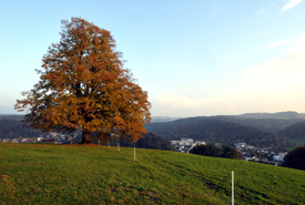 Winterthur