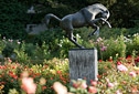 Rosengarten