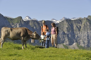 Wandererlebnis für die ganze Familie auf dem Niederbauen