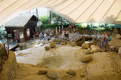 Glacier Garden Lucerne