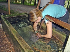 Kneipp-Trail, Stiereberg
