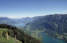 Schmetterlingspfad, Lungern