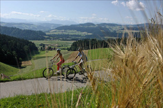 Herzroute
