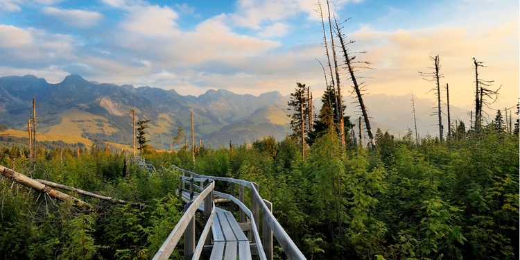 Der Gantrisch Panoramaweg ist ein sehr komfortabel ausgebauter Höhenwanderweg 