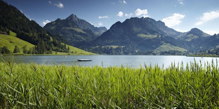 In der Region Schwarzsee kann die Ursprünglichkeit der wildromantischen Natur erlebt werden.