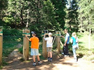 Moorbärpfad