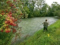 Fischen in der Sarneraa