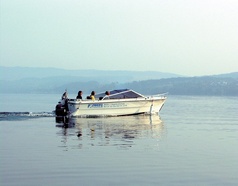 Bootsverleih Hallwil Motorboot