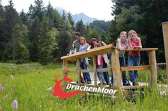 Drachenmoor