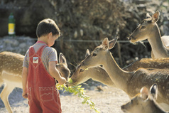 Tierpark Goldau