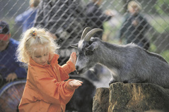 Tierpark Goldau