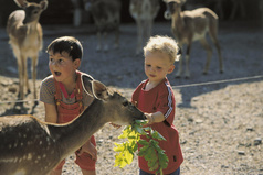 Tierpark Goldau