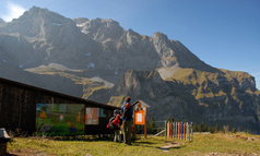 Zwärgliweg