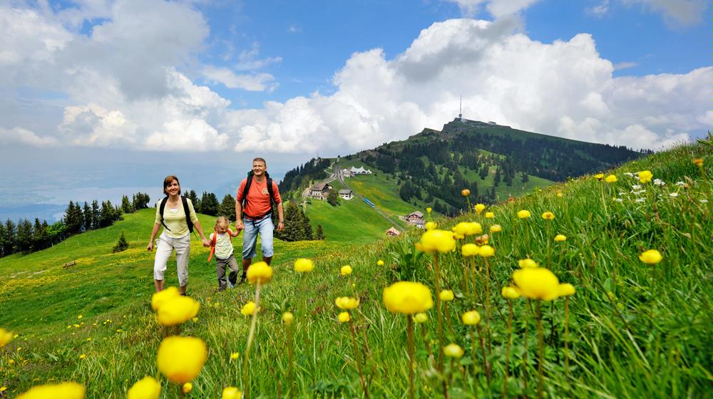 Rigi