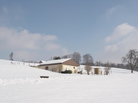 Winterthur