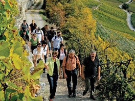 Wein & Natur GmbH - Varen 