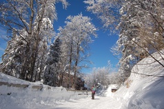 Winterwandern