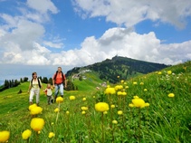 Rigi