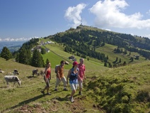 Rigi