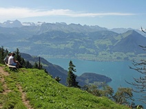 Rigi