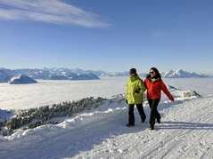 Rigi